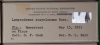 Image Associated With the Occurence